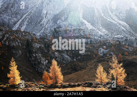 Herbstlandschaft in den Dolomiten, Italien, Europa Stockfoto