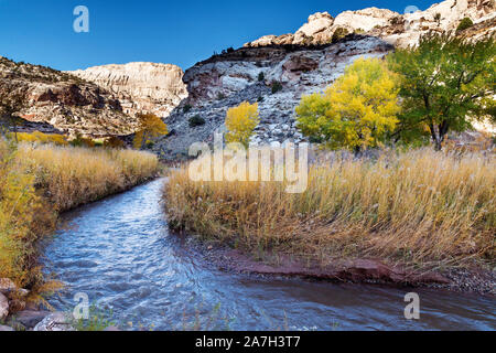 Fremont River im Capitol Reef National Park in der Nähe von Torrey, Utah Stockfoto