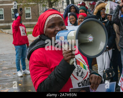 London, Großbritannien. 2. November 2019. Der guineer aus der Nationalen Front zur Verteidigung der Verfassung (FNDC) Protest in Downing St gegen eine Verfassungsänderung, die erlauben würde, Präsident Alpha Conde eine dritte Amtszeit an der Macht zu suchen, und rief zu Ihm zu gehen. Die Londoner Protest folgten massive Proteste in Guinea im Oktober führte das zu 11 Todesfällen. Die Demonstranten sind wütend, dass Beerdigungen verzögert worden, wie die Regierung nicht die Körper zu den Familien noch nicht freigegeben hat und fordern alle politischen Gefangenen freigelassen werden. Peter Marshall / alamy Leben Nachrichten Stockfoto