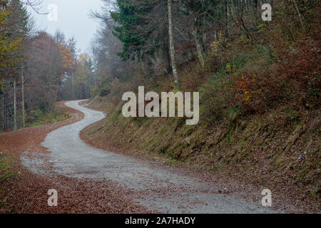 Weg im Wald mit bunten Laub abgedeckt Stockfoto