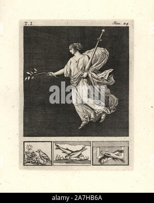 Die Malerei von Wand von einem Raum entfernt, vielleicht ein TRICLINIUM oder im Speisesaal, in einem Haus in Pompeji im Jahre 1749. Es zeigt eine Frau mit einem Zweig der Zitronen und ein goldenes Zepter. Könnte es Pax, die Göttin des Friedens, oder die Venus mit ihren blauen Mantel oder eine Priesterin des Bacchus mit Zepter? Kupferstich von Tommaso Piroli aus seiner eigenen'Antichita di Ercolano" (altertümer von Herculaneum), Rom, 1789 eingraviert. Italienischen Maler und Kupferstecher Piroli (1752-1824) veröffentlicht sechs Bände zwischen 1789 und 1807 dokumentieren die Wandmalereien und Bronzen in Heraculaneum und Pompeji gefunden. Stockfoto