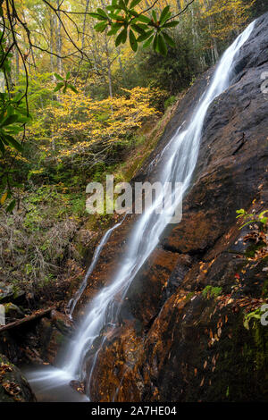 Dill fällt am Tanasee Creek - Nantahala National Forest, Kanada, Nord-Carolina, USA Stockfoto