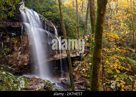 Slick Rock fällt im Herbst - Pisgah National Forest, Brevard, North Carolina, USA Stockfoto