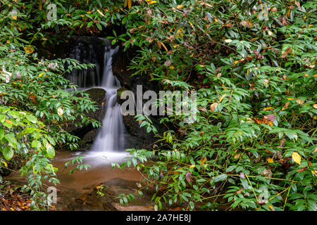 Kleinen versteckten Wasserfall auf der Bergahorn Cove Trail, Pisgah National Forest, Brevard, North Carolina, USA Stockfoto
