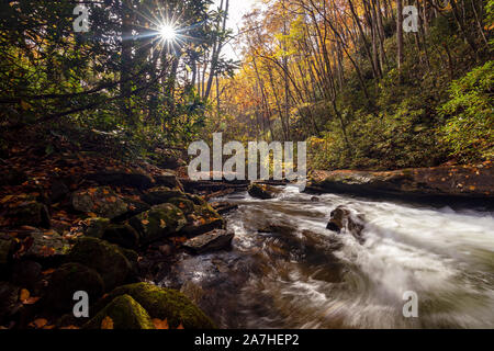 Fließende cascade on Looking Glass Creek im Herbst - Pisgah National Forest, in der Nähe der Brevard, North Carolina, United States Stockfoto