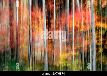 Malerische abstrakte Bewegungsunschärfe von leuchtenden Herbstfarben im Pisgah National Forest, Brevard, North Carolina, USA Stockfoto