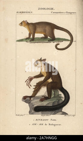 Kinkajou, Potos flavus und aye-aye von Madagaskar, Daubentonia madagascariensis. Papierkörbe Kupferstich Walze Gravur von Frederic Cuvier 'dictionary der Naturwissenschaften: Säugetiere", Paris, Frankreich, 1816. Illustration von J. G. Pretre, gestochen von Massard, unter der Regie von Pierre Jean-Francois Turpin, und veröffentlicht von F.G. Levrault. Jean Gabriel Pretre (17801845) war Maler der Naturgeschichte an der Kaiserin Josephine Zoo und wurde später Künstler im Museum für Naturkunde. Turpin (1775-1840) ist einer der größten französischen botanische Illustratoren des 19. Jahrhunderts angesehen. Stockfoto