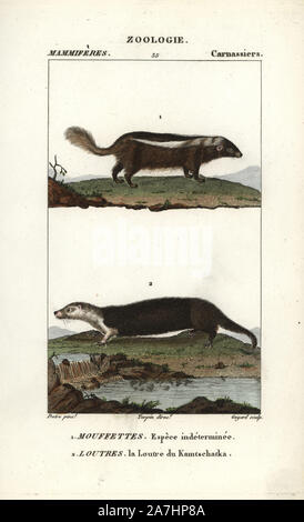 Nicht identifizierte Arten von Skunk, (Conepatus semistriatus?) und Sea Otter, Enhydra lutris (gefährdet). Papierkörbe Kupferstich Walze Gravur von Frederic Cuvier 'dictionary der Naturwissenschaften: Säugetiere", Paris, Frankreich, 1816. Illustration von J. G. Pretre, gestochen von Guyard, unter der Regie von Pierre Jean-Francois Turpin, und veröffentlicht von F.G. Levrault. Jean Gabriel Pretre (17801845) war Maler der Naturgeschichte an der Kaiserin Josephine Zoo und wurde später Künstler im Museum für Naturkunde. Turpin (1775-1840) gilt als einer der größten französischen botanische Illustratoren des 19 Cent Stockfoto