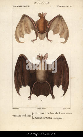 Mehr bulldog bat oder Angler bat, Noctilio leporinus und größere Speer - Gerochen bat, Phyllostomus hastatus. Papierkörbe Kupferstich Walze Gravur von Frederic Cuvier 'dictionary der Naturwissenschaften: Säugetiere", Paris, Frankreich, 1816. Illustration von J. G. Pretre, gestochen von Victor, unter der Regie von Pierre Jean-Francois Turpin, und veröffentlicht von F.G. Levrault. Jean Gabriel Pretre (17801845) war Maler der Naturgeschichte an der Kaiserin Josephine Zoo und wurde später Künstler im Museum für Naturkunde. Turpin (1775-1840) gilt als einer der größten französischen botanische Illustratoren der Stockfoto