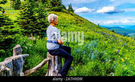 Frau Wanderer auf einem Baumstumpf genießen Sie den alpinen Wiesen bis in das Bergdorf Sun Peaks im wunderschönen British Columbia, Kanada Suche ruhen Stockfoto