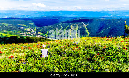 Wandern durch die alpinen Wiesen mit bunten Wiesenblumen für Tod Berg an der alpinen Dorf Sun Peaks in der Shuswap Hochland von BC gefüllt Stockfoto