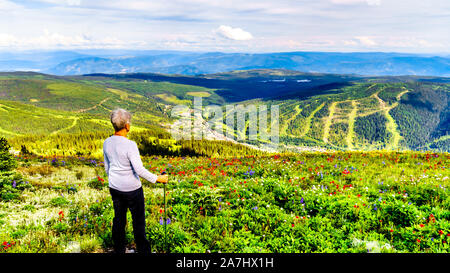 Wandern durch die alpinen Wiesen mit bunten Wiesenblumen für Tod Berg an der alpinen Dorf Sun Peaks in der Shuswap Hochland von BC gefüllt Stockfoto