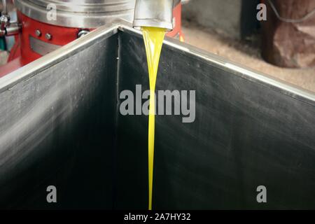 Natives Olivenöl extra Extraktion in der Ölmühle in Griechenland. Stockfoto