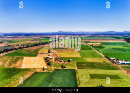 Green Farm Felder mit Bewässerung und Anbau am Ufer des Hunter River in Hunter Valley Region von Australien um Bauernhof unter blauem Himmel auf einer Stockfoto