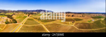 Mountain Range um Pokolbin im Hunter Valley von Australien - Wein Farmen mit kultivierten Landwirtschaft Felder der wachsenden Weinberge in erhöhten a Stockfoto