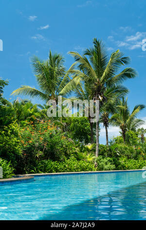 Tropical Pool von Palmen Palmen in Südchina im Sommer umgeben. Stockfoto