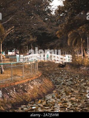 Eine Brücke in der Mitte eines Teiches Stockfoto