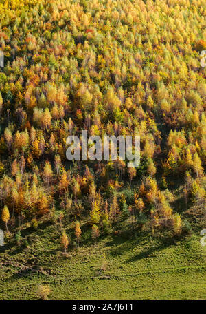 Hügeln in der Herbstsaison, Rasinari Dorf, Sibiu, Rumänien Stockfoto