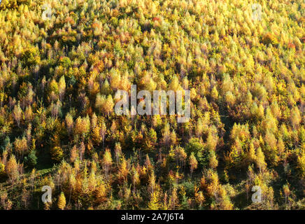 Hügeln in der Herbstsaison, Rasinari Dorf, Sibiu, Rumänien Stockfoto