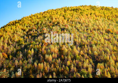 Hügeln in der Herbstsaison, Rasinari Dorf, Sibiu, Rumänien Stockfoto