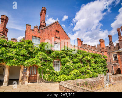 Vom 9. Juni 2019: Richmond upon Thames, London, UK - der äußere Teil der Großen Rebsorten in Hampton Court Palace, der ehemaligen königlichen Residenz in West Londo Stockfoto