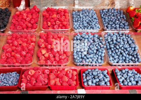 Frische Heidelbeeren und Himbeeren in Kunststoffbehältern auf einen Marktstand Stockfoto