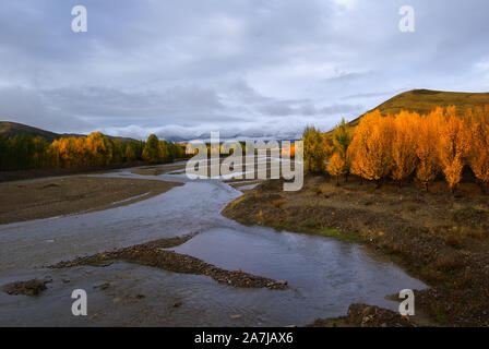 Herbst weint Daocheng Yading in Gelb und Rot in der tibetischen autonomen Präfektur Garze, Süd-westen der chinesischen Provinz Sichuan, 2. September 2019. Stockfoto