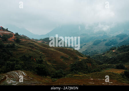 Schöne misty Sonnenaufgang über Reisterrassen in Sapa, Nordvietnam Stockfoto