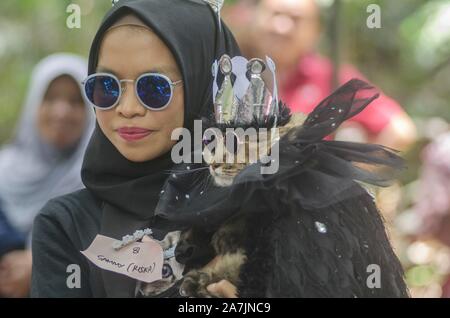 Bandung, Indonesien. 3. November, 2019. Eine Frau hält ihre Katze nimmt an einer Katze kostüm Wettbewerb während Flora und Fauna Festival bei Taman Hutan Raya in Bandung, West Java, Indonesien, November 3, 2019. Credit: Septianjar/Xinhua/Alamy leben Nachrichten Stockfoto