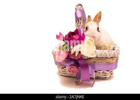 Ostern Hasen im Korb auf weißem Hintergrund. Stockfoto