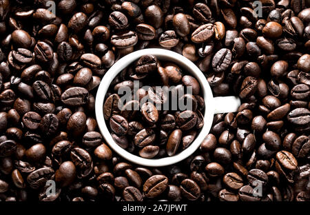 Weiße Tasse voll von Kaffeebohnen und von Kaffeebohnen umgeben. Konzeptionelle Bild. Stockfoto
