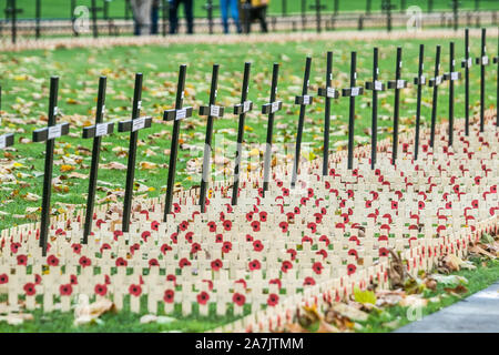 London, Großbritannien. 3. November 2019. Kreuze sind im Bereich der Erinnerung außerhalb der Westminster Abbey nach Grundstücke vor der Erinnerung Gedenkfeiern am Sonntag zu Regiment der gefallene Britische und Commonwealth Soldaten und Frauen der Konflikte der Vergangenheit zu ehren. Die britische Legion Field der Erinnerung wird offiziell von Seiner Königlichen Hoheit Prinz Harry Herzog von Sussex. Amer ghazzal/Alamy leben Nachrichten geöffnet werden Stockfoto