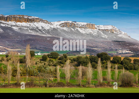 Berge und Bäume. Stockfoto