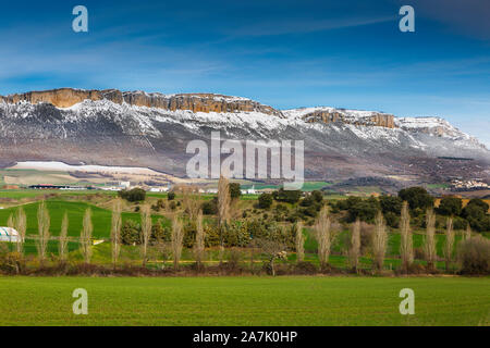 Berge und Bäume. Stockfoto