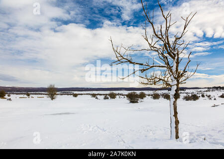 Prairie Landschaft im Winter. Stockfoto