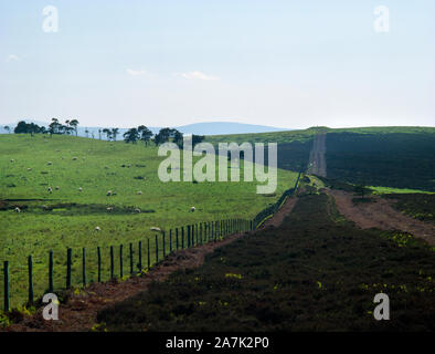 Blick WSW an der Bronzezeit Gipfel Barrow am Rande von Ely Eglwyseg Karbon Kalkstein Steilhang, Llangollen, Denbighshire, Wales, UK. Stockfoto