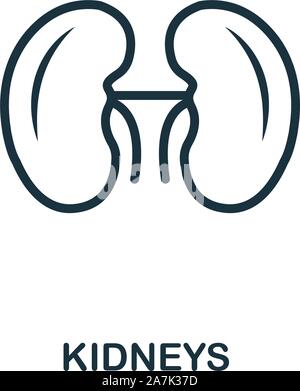 Nieren Symbol Umrisse Stil. Dünne Linie kreative Nieren Symbol für Logo, Grafik Design und mehr Stock Vektor