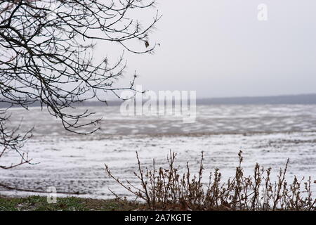 Feld im Winter mit Schnee bedeckt. Trockenes Gras und Zweige im Vordergrund. Stockfoto