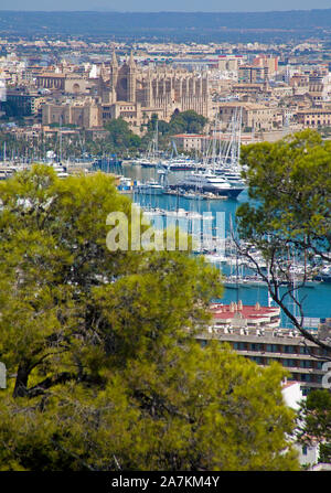 Blick vom Schloss Bellver auf den Hafen und die Altstadt, die Kathedrale La Seu, Palma, Palma de Mallorca, Mallorca, Balearen, Spanien Stockfoto