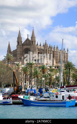 Fischerboote vor der Kathedrale La Seu, Hafen von Palma, Palma de Mallorca, Mallorca, Balearen, Spanien Stockfoto