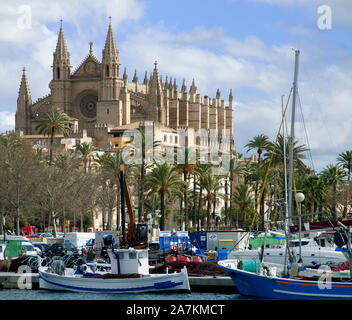 Fischerboote vor der Kathedrale La Seu, Hafen von Palma, Palma de Mallorca, Mallorca, Balearen, Spanien Stockfoto