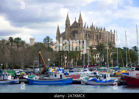 Fischerboote vor der Kathedrale La Seu, Hafen von Palma, Palma de Mallorca, Mallorca, Balearen, Spanien Stockfoto