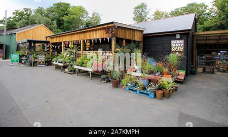 Norden, England - 29.August 2018: Farm Shop Exterieur mit Pflanzen und Blumen auf der Anzeige unter den Bäumen und die Landschaft Stockfoto