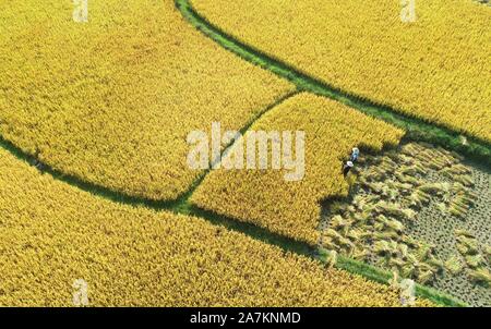 Luftaufnahmen von Ackerland, auf dem Bauern die Ernte an Huaxi Bezirk der Stadt Guiyang, Provinz Guizhou im Südwesten Chinas, 24. September 2019. *** Lo Stockfoto