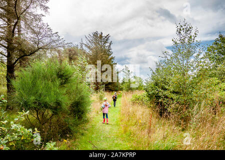 Kleine Jungen und Mädchen Wandern im Sommer Wald. Stockfoto