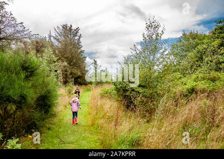 Kleine Jungen und Mädchen Wandern im Sommer Wald. Stockfoto