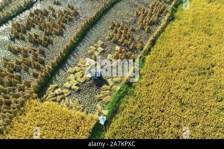 Luftaufnahmen von Ackerland, auf dem Bauern die Ernte an Huaxi Bezirk der Stadt Guiyang, Provinz Guizhou im Südwesten Chinas, 24. September 2019. *** Lo Stockfoto