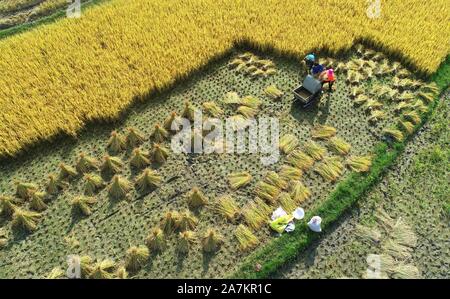 Luftaufnahmen von Ackerland, auf dem Bauern die Ernte an Huaxi Bezirk der Stadt Guiyang, Provinz Guizhou im Südwesten Chinas, 24. September 2019. *** Lo Stockfoto