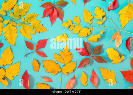 Blätter im Herbst auf blauem Hintergrund Stockfoto