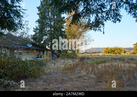 Haus Dach durch liegendem Baum wegen starker Winde und verbrannte Hügel im Windsor, Sonoma County, Kalifornien beschädigt. Stockfoto